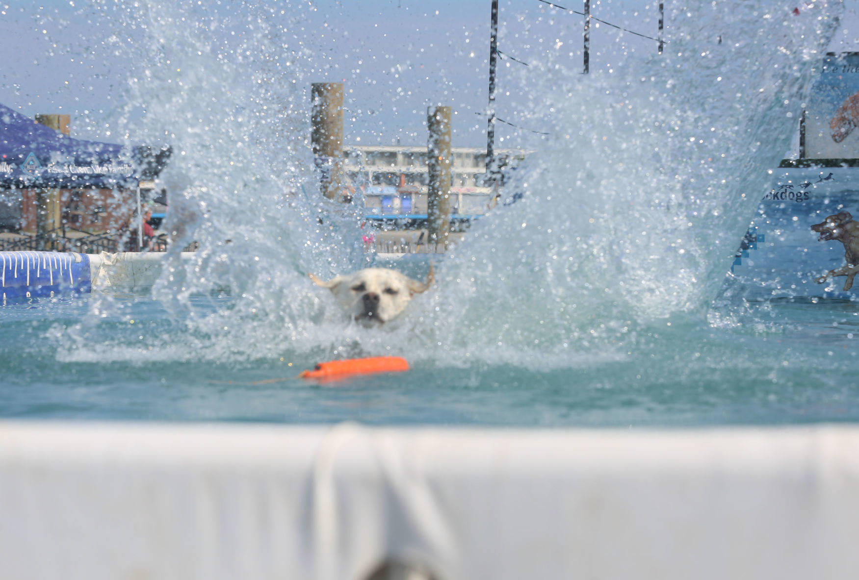 090919_gal_dockdogsWW (18)